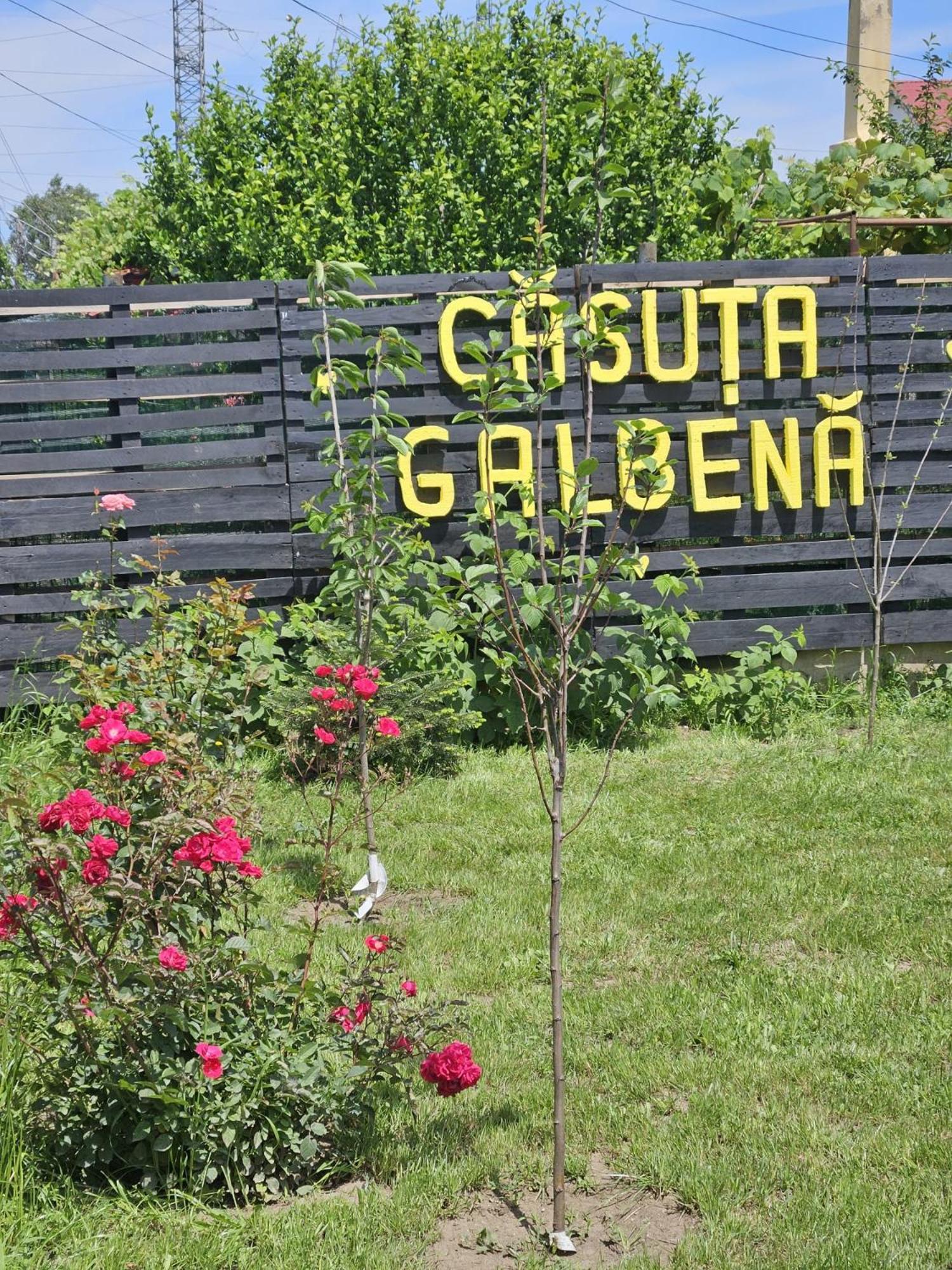 Casuta Galbena Eforie Norte Exterior foto